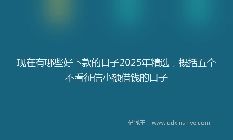 现在有哪些好下款的口子2025年精选，概括五个不看征信小额借钱的口子