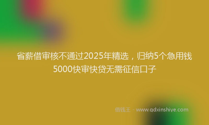 省薪借审核不通过2025年精选，归纳5个急用钱5000快审快贷无需征信口子