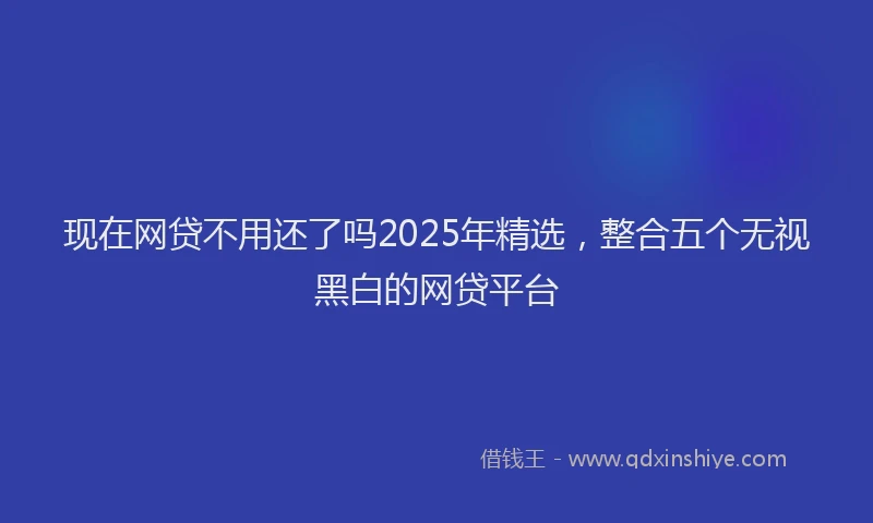 现在网贷不用还了吗2025年精选，整合五个无视黑白的网贷平台