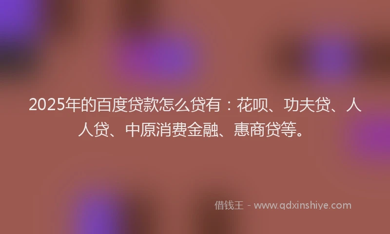 2025年的百度贷款怎么贷有：花呗、功夫贷、人人贷、中原消费金融、惠商贷等。