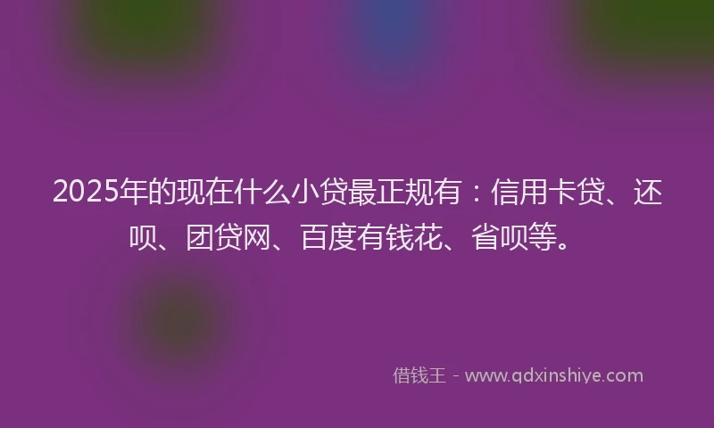 2025年的现在什么小贷最正规有：信用卡贷、还呗、团贷网、百度有钱花、省呗等。