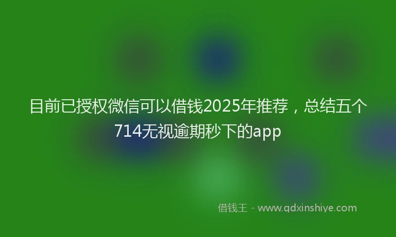 目前已授权微信可以借钱2025年推荐，总结五个714无视逾期秒下的app