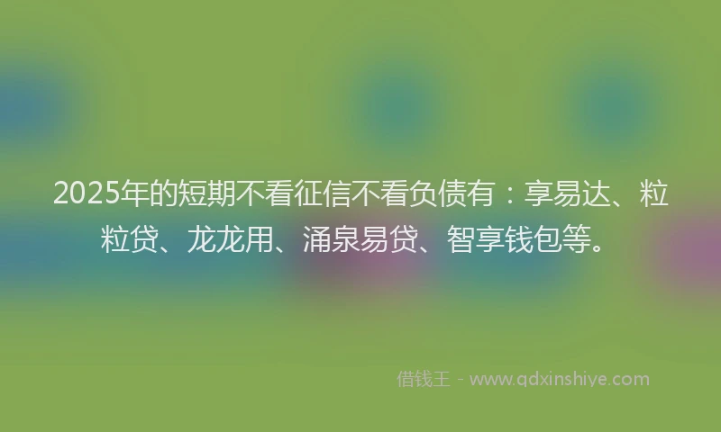 2025年的短期不看征信不看负债有：享易达、粒粒贷、龙龙用、涌泉易贷、智享钱包等。