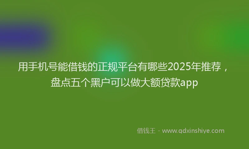 用手机号能借钱的正规平台有哪些2025年推荐，盘点五个黑户可以做大额贷款app