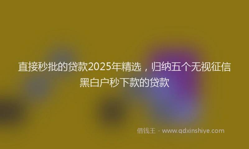 直接秒批的贷款2025年精选，归纳五个无视征信黑白户秒下款的贷款