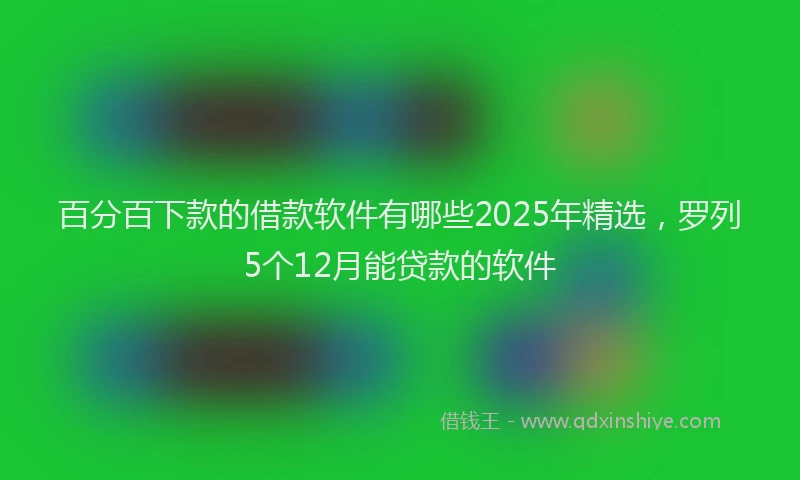 百分百下款的借款软件有哪些2025年精选，罗列5个12月能贷款的软件