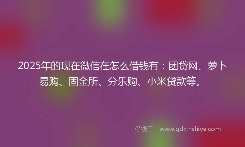 2025年的现在微信在怎么借钱有：团贷网、萝卜易购、固金所、分乐购、小米贷款等。