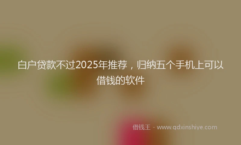 白户贷款不过2025年推荐，归纳五个手机上可以借钱的软件