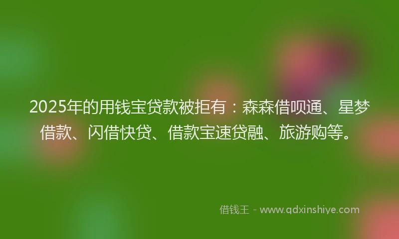 2025年的用钱宝贷款被拒有：森森借呗通、星梦借款、闪借快贷、借款宝速贷融、旅游购等。