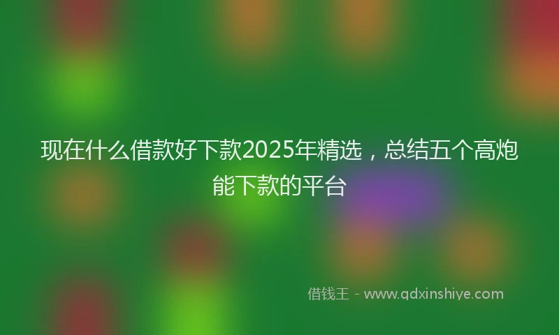 现在什么借款好下款2025年精选，总结五个高炮能下款的平台