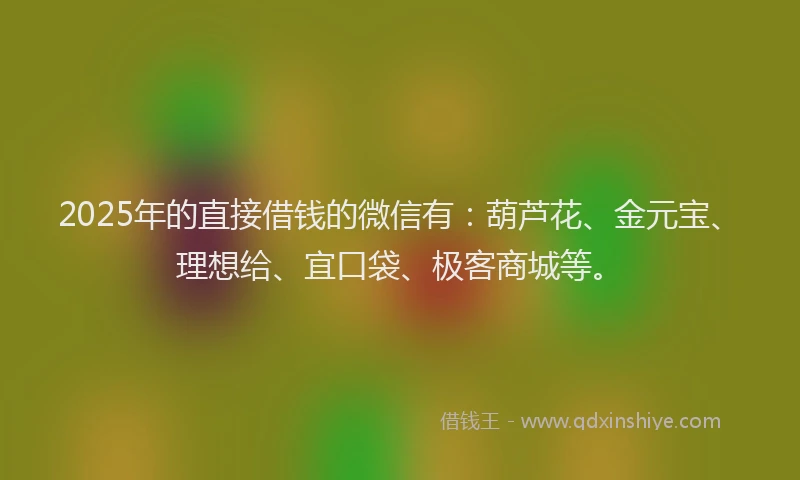 2025年的直接借钱的微信有：葫芦花、金元宝、理想给、宜口袋、极客商城等。