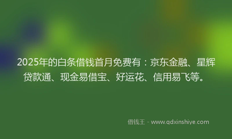 2025年的白条借钱首月免费有：京东金融、星辉贷款通、现金易借宝、好运花、信用易飞等。
