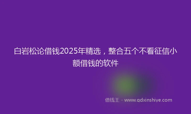 白岩松论借钱2025年精选，整合五个不看征信小额借钱的软件