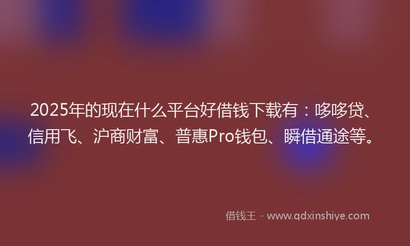 2025年的现在什么平台好借钱下载有：哆哆贷、信用飞、沪商财富、普惠Pro钱包、瞬借通途等。