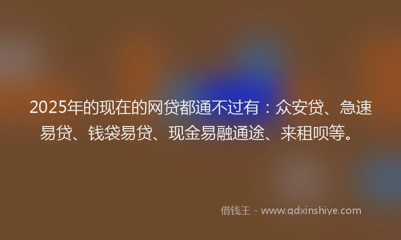 2025年的现在的网贷都通不过有：众安贷、急速易贷、钱袋易贷、现金易融通途、来租呗等。