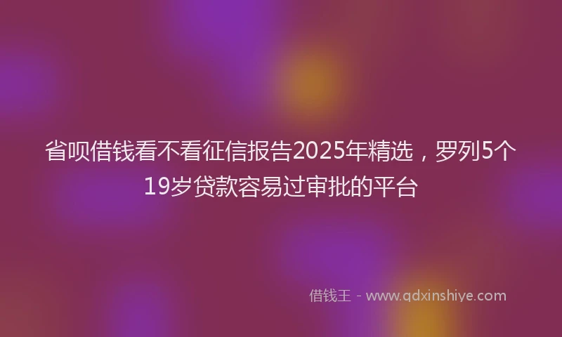 省呗借钱看不看征信报告2025年精选，罗列5个19岁贷款容易过审批的平台