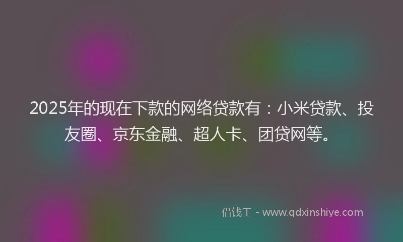 2025年的现在下款的网络贷款有：小米贷款、投友圈、京东金融、超人卡、团贷网等。
