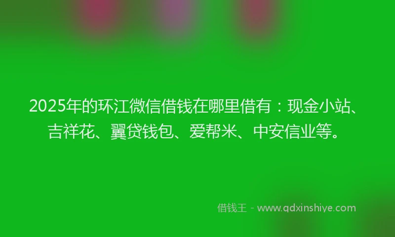 2025年的环江微信借钱在哪里借有：现金小站、吉祥花、翼贷钱包、爱帮米、中安信业等。