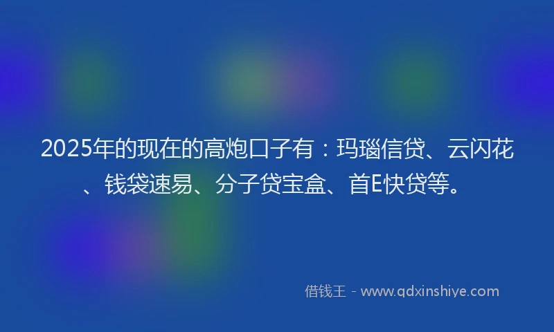 2025年的现在的高炮口子有：玛瑙信贷、云闪花、钱袋速易、分子贷宝盒、首E快贷等。