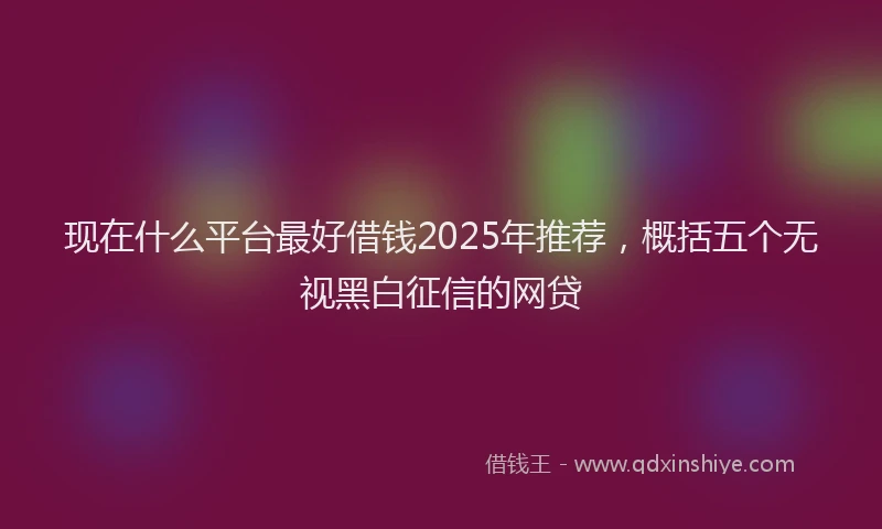 现在什么平台最好借钱2025年推荐，概括五个无视黑白征信的网贷