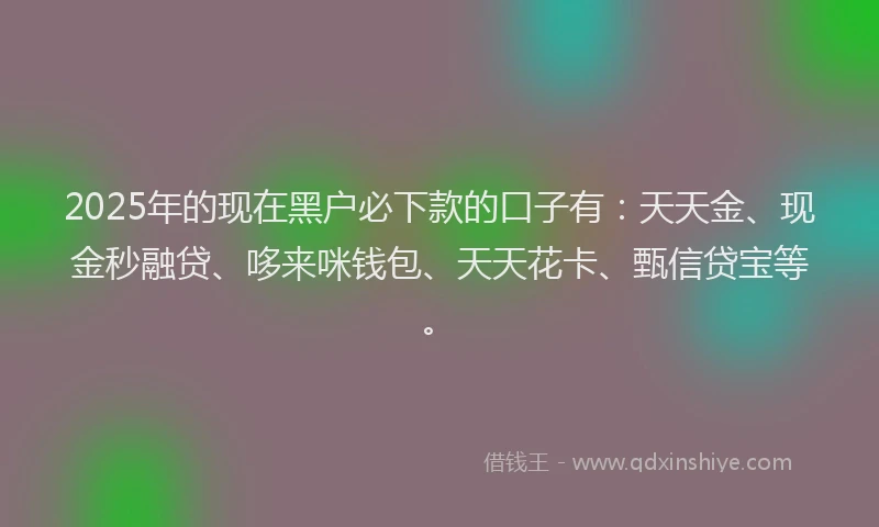 2025年的现在黑户必下款的口子有：天天金、现金秒融贷、哆来咪钱包、天天花卡、甄信贷宝等。
