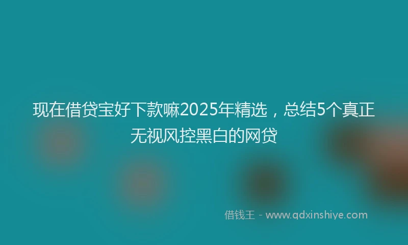 现在借贷宝好下款嘛2025年精选，总结5个真正无视风控黑白的网贷