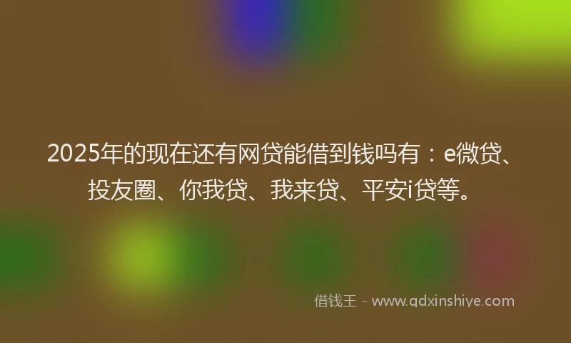2025年的现在还有网贷能借到钱吗有：e微贷、投友圈、你我贷、我来贷、平安i贷等。