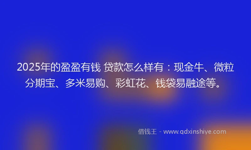 2025年的盈盈有钱 贷款怎么样有：现金牛、微粒分期宝、多米易购、彩虹花、钱袋易融途等。