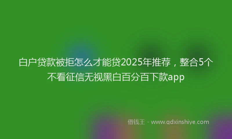 白户贷款被拒怎么才能贷2025年推荐，整合5个不看征信无视黑白百分百下款app