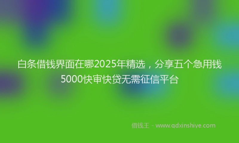 白条借钱界面在哪2025年精选，分享五个急用钱5000快审快贷无需征信平台
