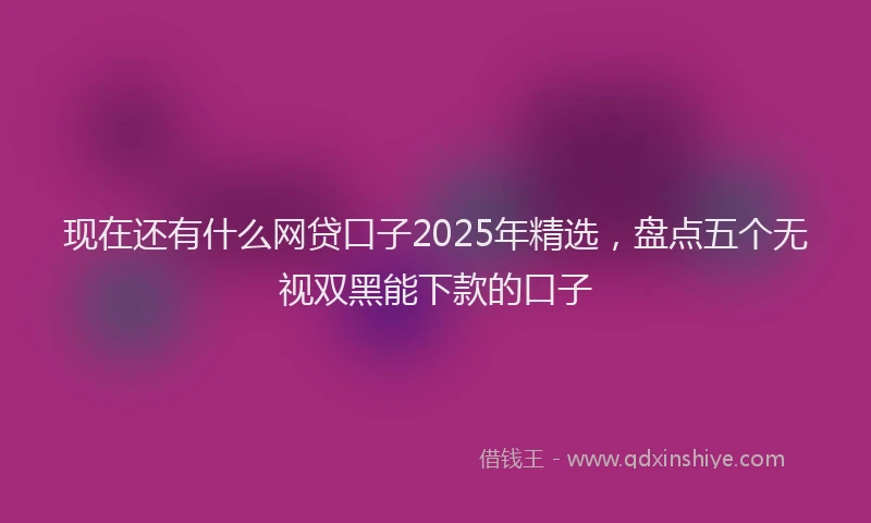现在还有什么网贷口子2025年精选，盘点五个无视双黑能下款的口子