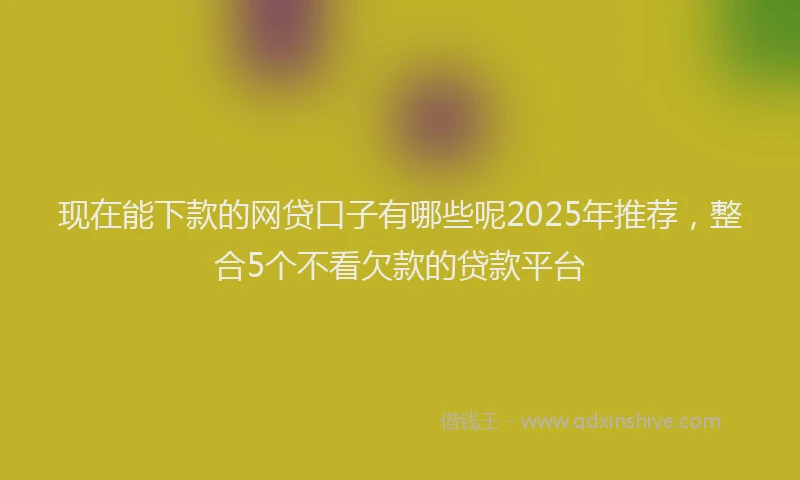 现在能下款的网贷口子有哪些呢2025年推荐，整合5个不看欠款的贷款平台