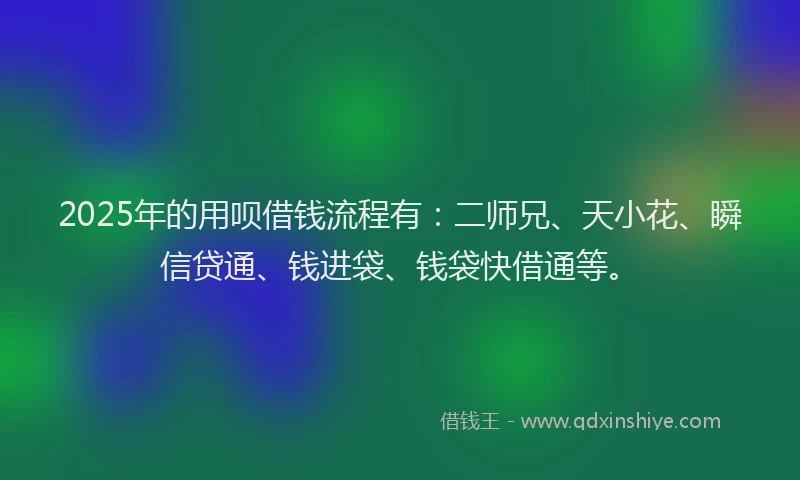 2025年的用呗借钱流程有：二师兄、天小花、瞬信贷通、钱进袋、钱袋快借通等。