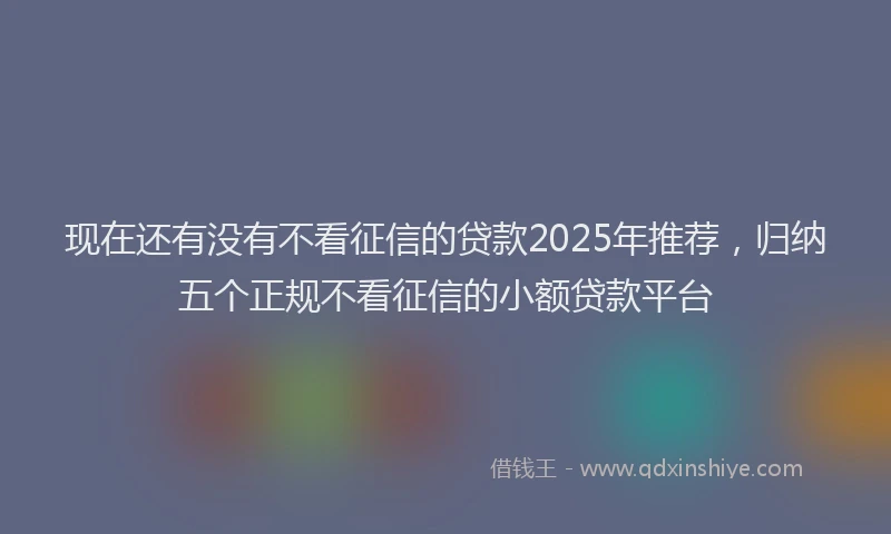 现在还有没有不看征信的贷款2025年推荐，归纳五个正规不看征信的小额贷款平台