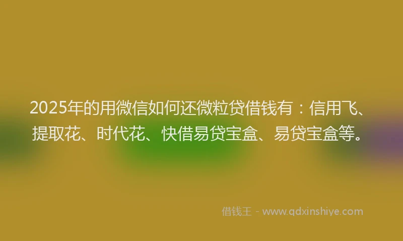 2025年的用微信如何还微粒贷借钱有：信用飞、提取花、时代花、快借易贷宝盒、易贷宝盒等。