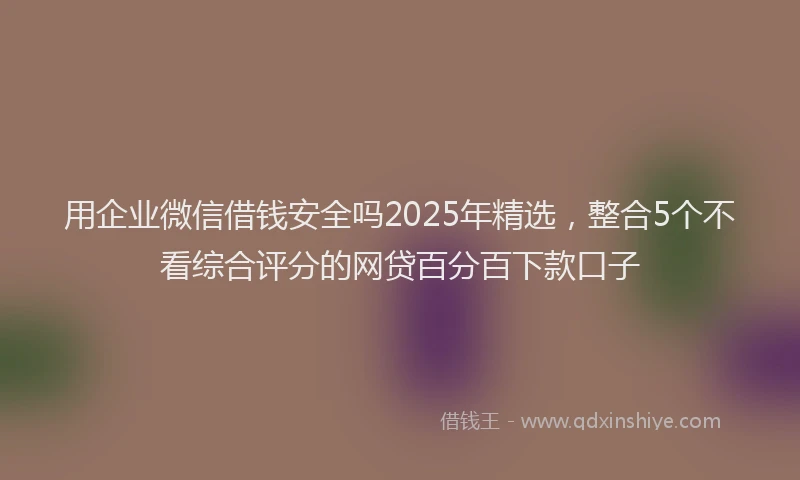用企业微信借钱安全吗2025年精选，整合5个不看综合评分的网贷百分百下款口子