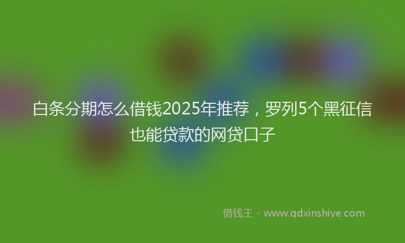 白条分期怎么借钱2025年推荐，罗列5个黑征信也能贷款的网贷口子