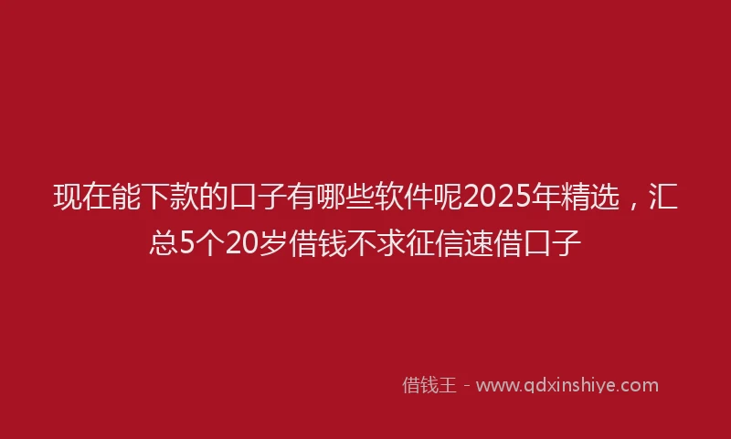 现在能下款的口子有哪些软件呢2025年精选，汇总5个20岁借钱不求征信速借口子