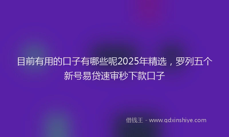 目前有用的口子有哪些呢2025年精选，罗列五个新号易贷速审秒下款口子