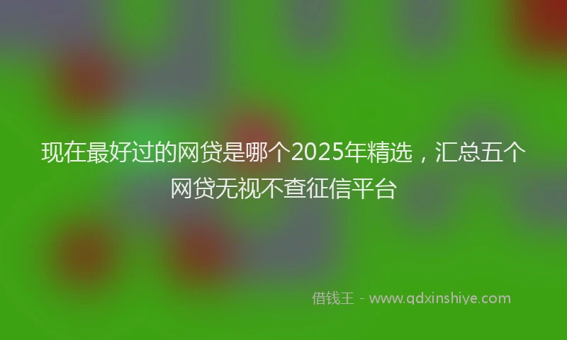 现在最好过的网贷是哪个2025年精选，汇总五个网贷无视不查征信平台