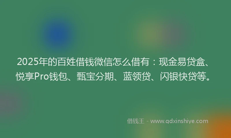 2025年的百姓借钱微信怎么借有：现金易贷盒、悦享Pro钱包、甄宝分期、蓝领贷、闪银快贷等。
