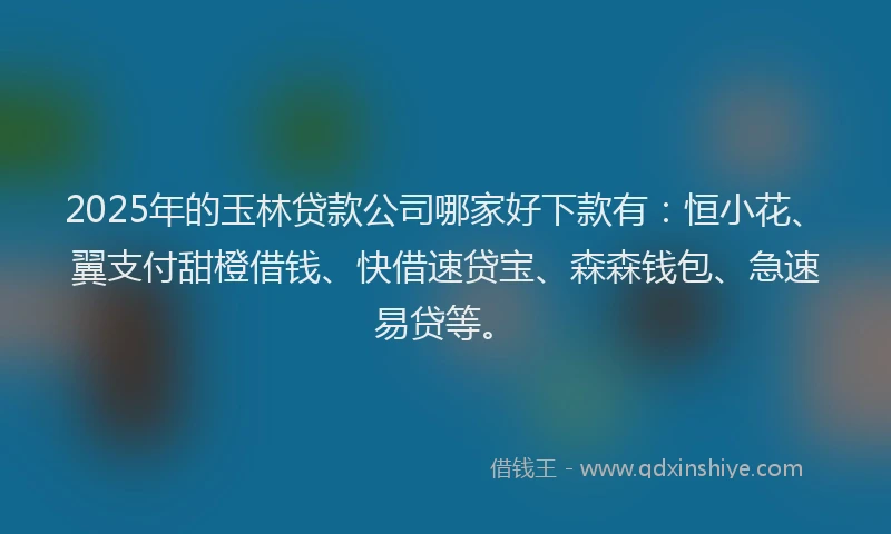 2025年的玉林贷款公司哪家好下款有：恒小花、翼支付甜橙借钱、快借速贷宝、森森钱包、急速易贷等。