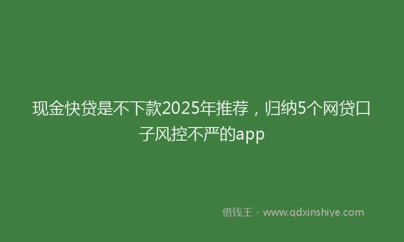 现金快贷是不下款2025年推荐，归纳5个网贷口子风控不严的app