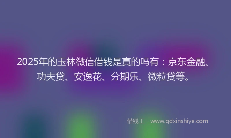 2025年的玉林微信借钱是真的吗有：京东金融、功夫贷、安逸花、分期乐、微粒贷等。