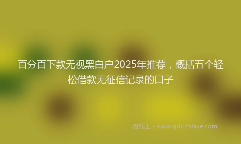 百分百下款无视黑白户2025年推荐，概括五个轻松借款无征信记录的口子