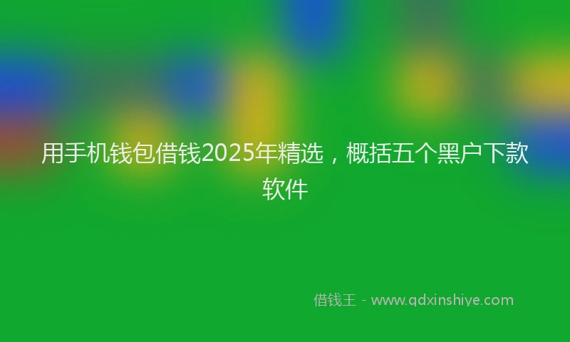 用手机钱包借钱2025年精选，概括五个黑户下款软件