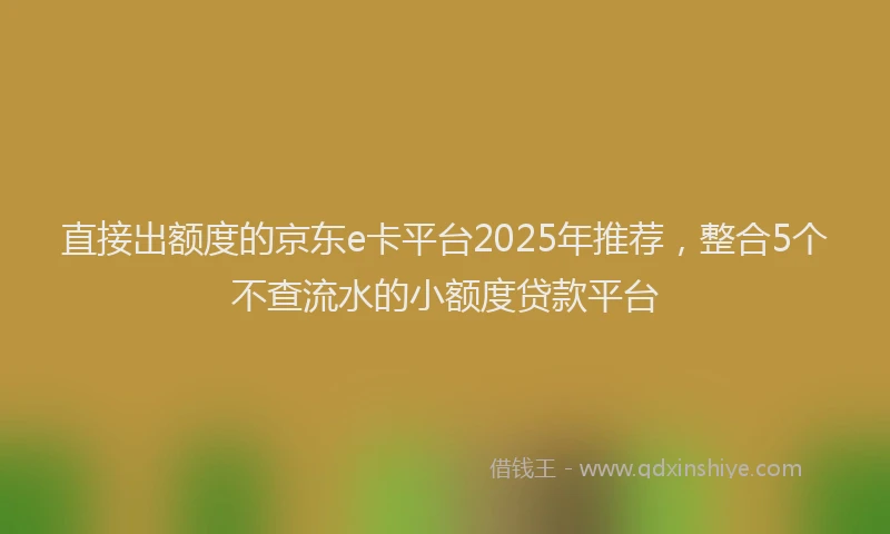 直接出额度的京东e卡平台2025年推荐，整合5个不查流水的小额度贷款平台