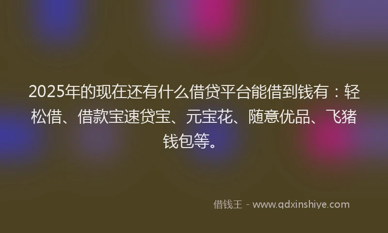 2025年的现在还有什么借贷平台能借到钱有：轻松借、借款宝速贷宝、元宝花、随意优品、飞猪钱包等。