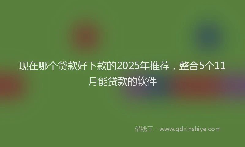 现在哪个贷款好下款的2025年推荐，整合5个11月能贷款的软件