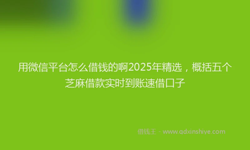 用微信平台怎么借钱的啊2025年精选，概括五个芝麻借款实时到账速借口子